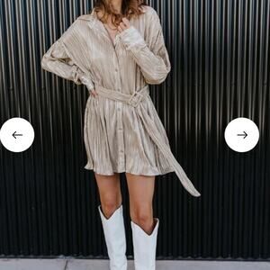 Lizard Thicket Pop the Champagne Dress